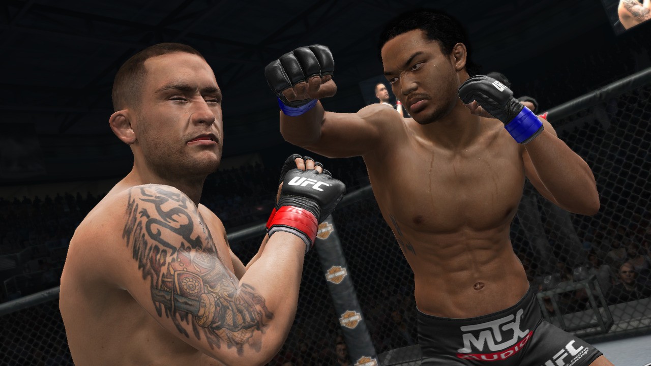 UFC Undisputed 3 - Imagen 19